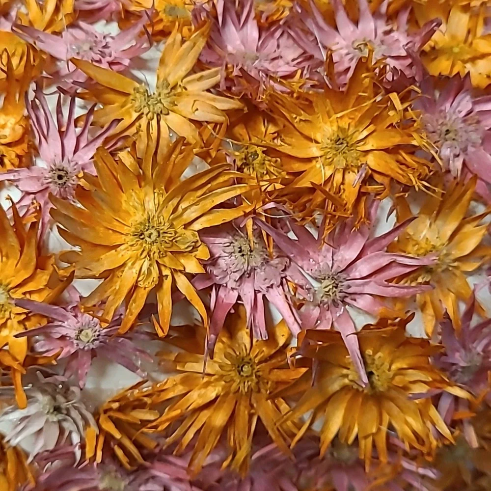 Flower Pumpkin Centerpiece